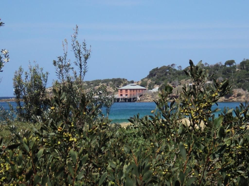 Nrma Tathra Beachfront Holiday Park Hotel Room photo